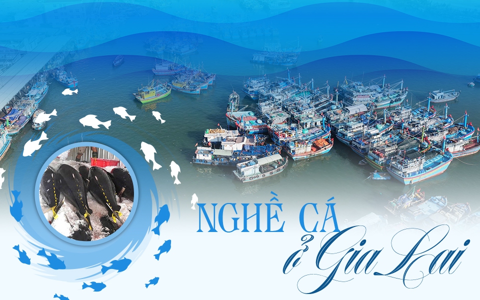 Gỡ "thẻ v&agrave;ng" IUU: "Thời gian kh&ocirc;ng c&ograve;n nhiều, chỉ c&ograve;n c&aacute;ch dốc to&agrave;n lực"- Ảnh 8.