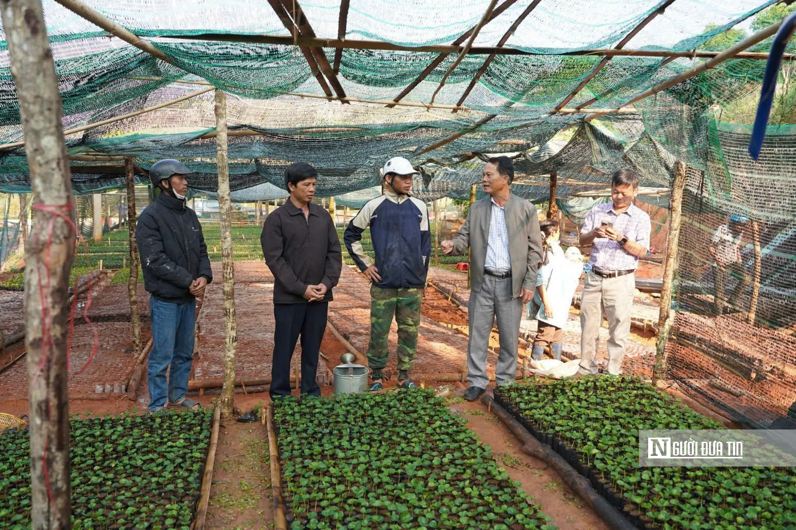 Một năm vận h&agrave;nh ch&iacute;nh quyền hai cấp: Sự chuyển m&igrave;nh mạnh mẽ ở x&atilde; v&ugrave;ng cao Quảng Ng&atilde;i - Ảnh 6.