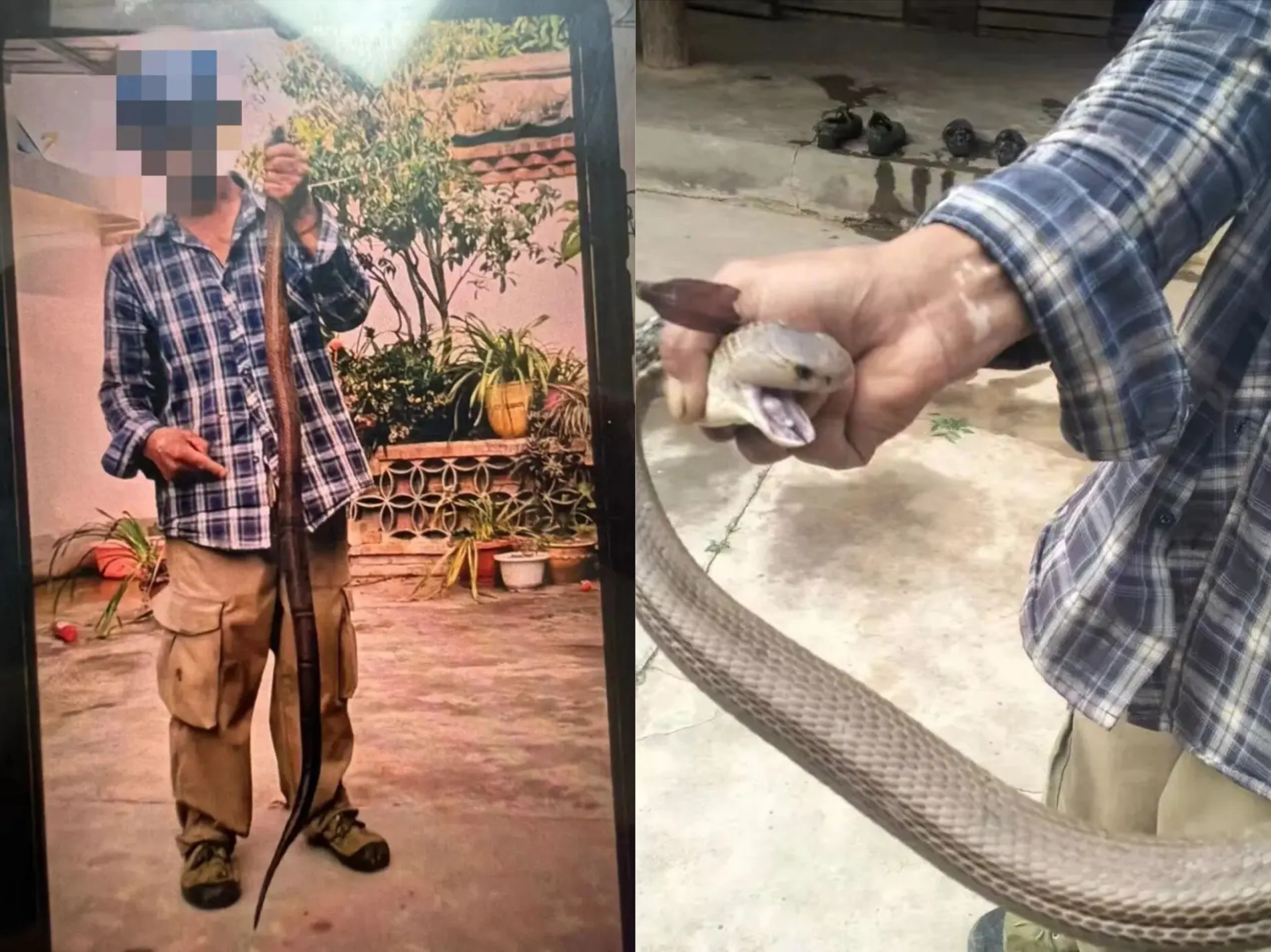 Bị rắn hổ mang cắn vào tay vẫn chụp ảnh, người đàn ông 58 tuổi có trải nghiệm nhớ đời - Ảnh 1.