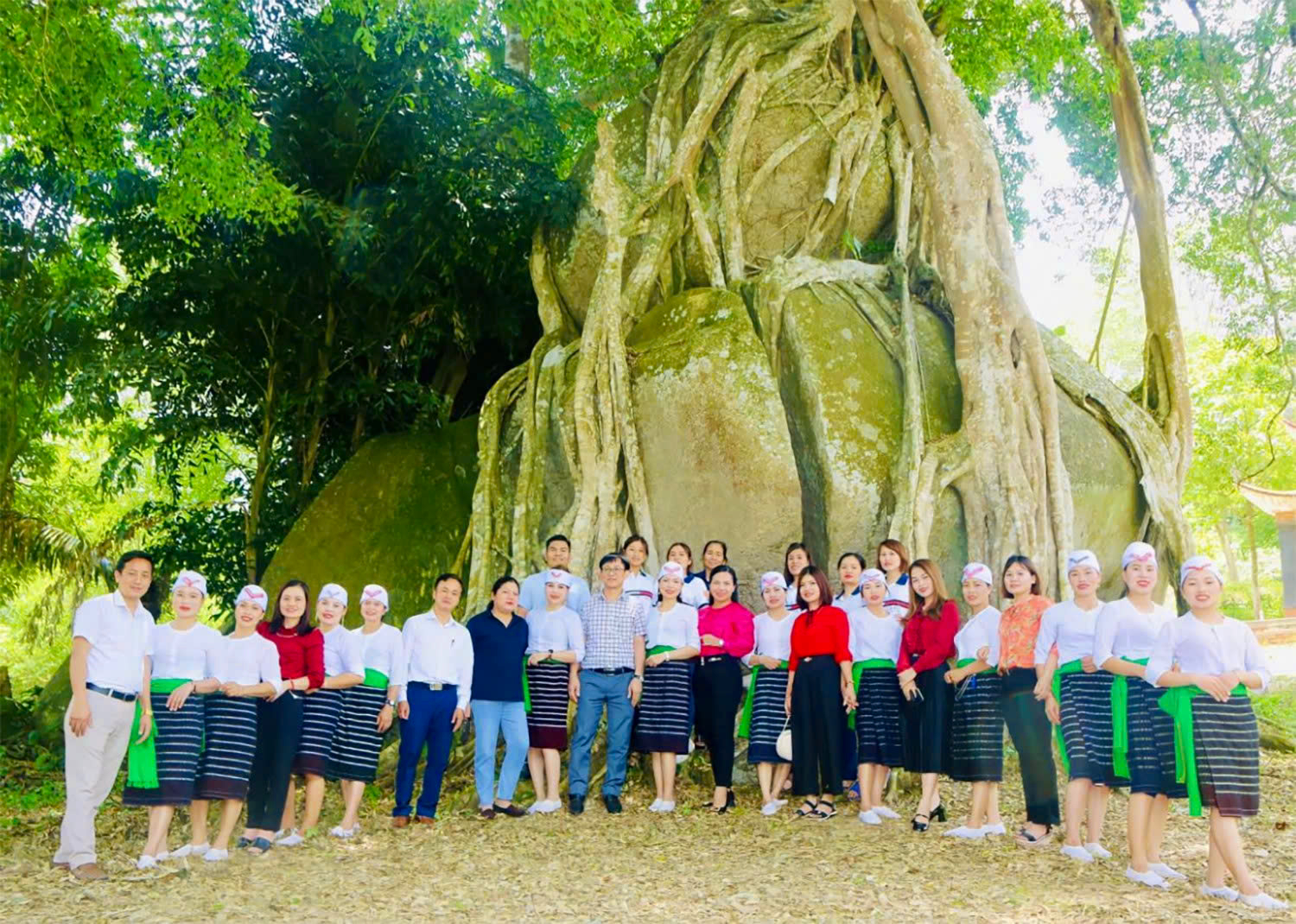 Cận cảnh c&acirc;y sanh di sản ngh&igrave;n tuổi &ocirc;m đ&aacute; thế &lsquo;m&acirc;m x&ocirc;i con g&agrave;&rsquo; độc nhất v&ocirc; nhị ở Nghệ An - Ảnh 14.