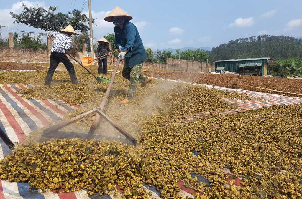 Quảng Ninh: Giữ vững đà tăng trưởng ngành nông nghiệp- Ảnh 1.