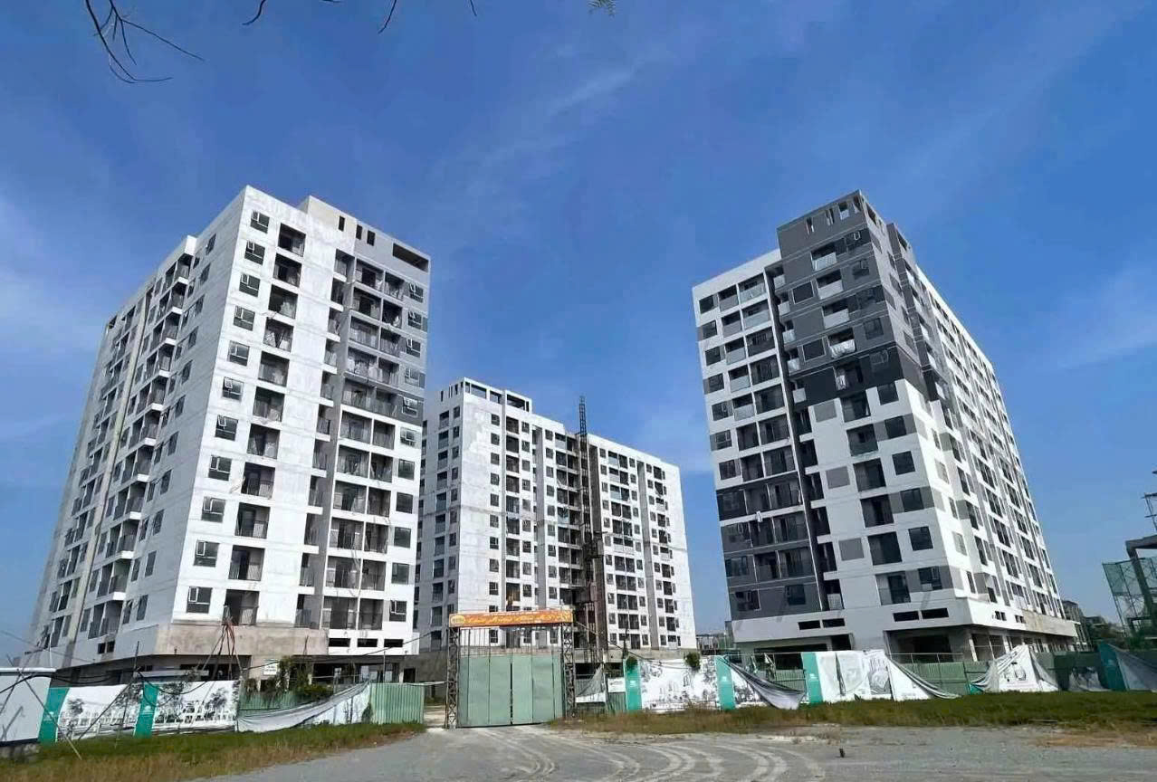 Tạm gác giấc mơ an cư vì giá vật liệu xây dựng “lập đỉnh”- Ảnh 1.