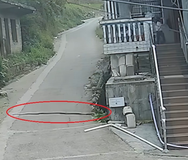 Bắt  sống rắn hổ mang d&agrave;i 3 m&eacute;t, nặng 6kg tr&ecirc;n đường- Ảnh 1.