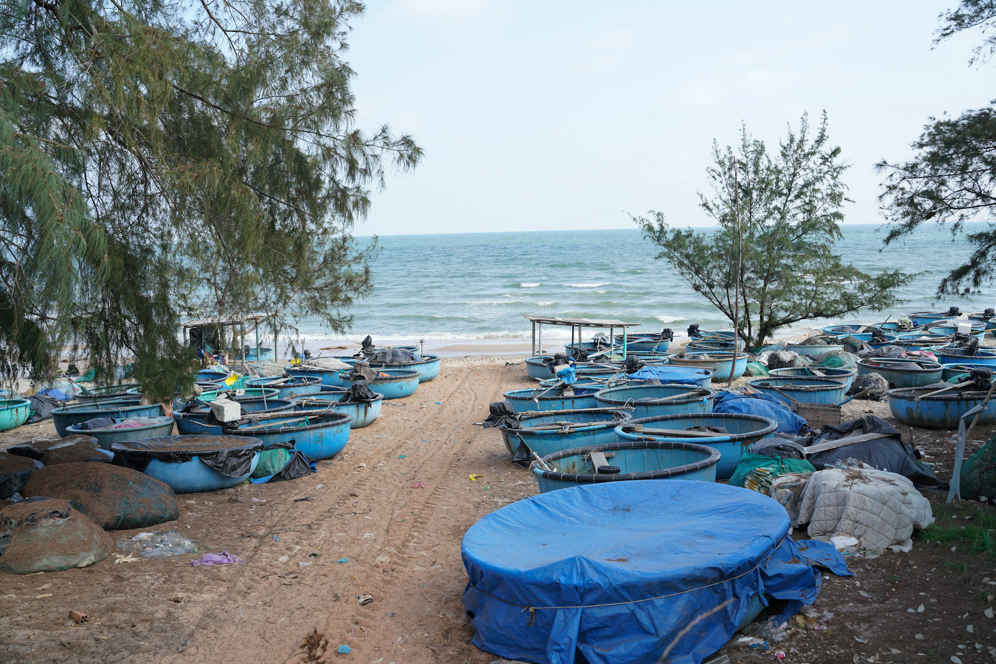 Kỳ vọng hình thành Khu kinh tế ven biển phía Nam: Tạo cực tăng trưởng mới cho Lâm Đồng- Ảnh 5.