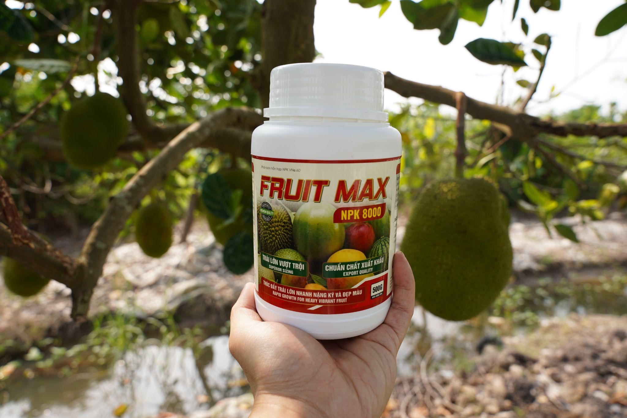 FRUIT MAX NPK 8000: Giải pháp nuôi trái lớn nhanh, bóng đẹp, nặng ký, nâng tầm giá trị nông sản xuất khẩu - Ảnh 3.