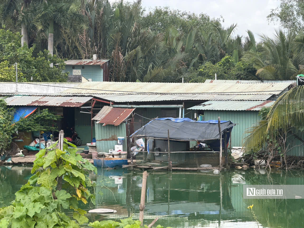 Hiện trạng Khu liên hợp thể thao Rạch Chiếc Tp.HCM ra sao?- Ảnh 6.