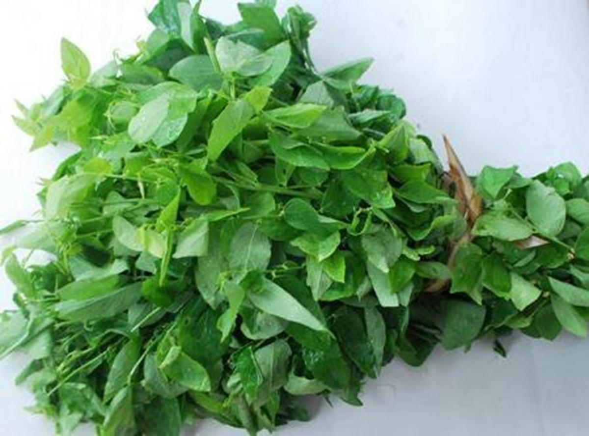 Ăn nắm rau này 