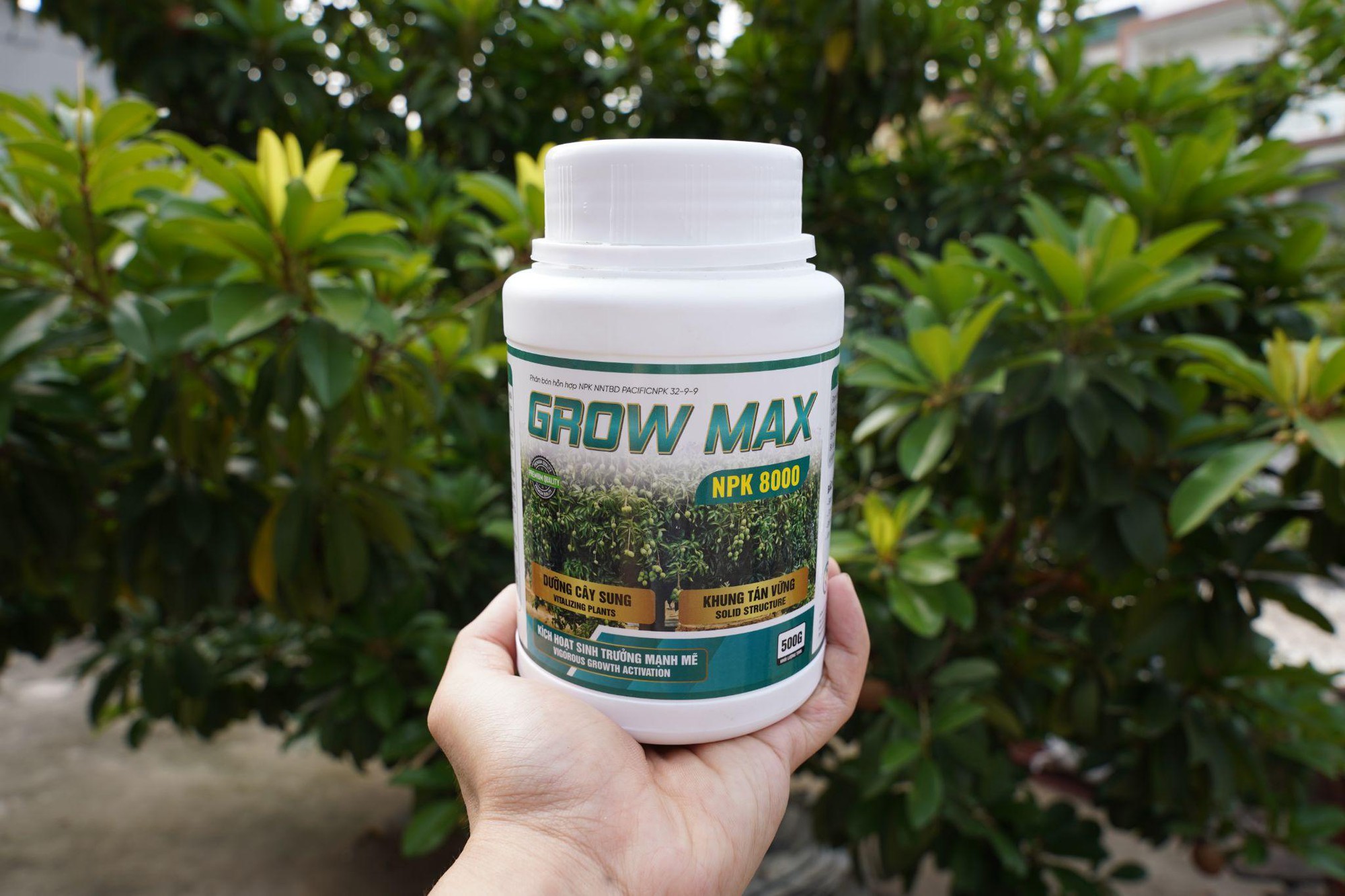 GROW MAX NPK 8000 – Giải Pháp Tối Ưu Quang Hợp, Đẩy Nhanh Tiến Độ Kiến Thiết Tán Cây - Ảnh 3.
