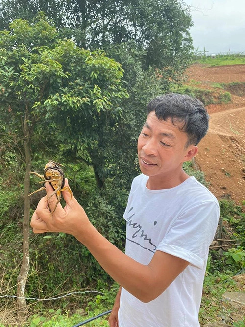 Nam NSƯT có giọng hát nội lực, trải qua đổ vỡ, U60 tận hưởng cuộc sống bình yên giữa núi đồi - Ảnh 10.