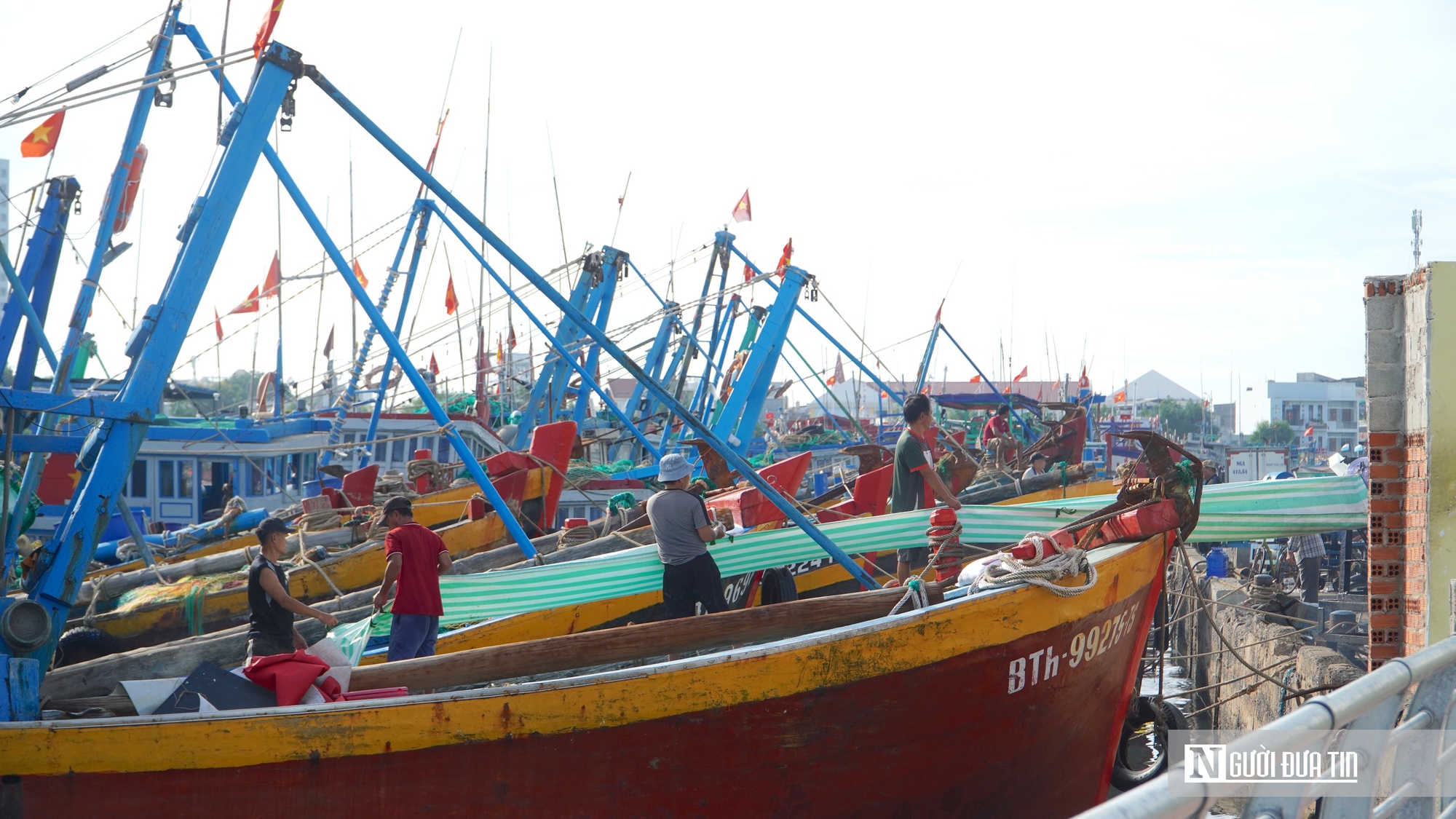 Thiếu lao động nghề biển, nỗi trăn trở của ngư d&acirc;n trước mỗi chuyến vươn khơi khi v&agrave;o vụ c&aacute; nam - Ảnh 5.