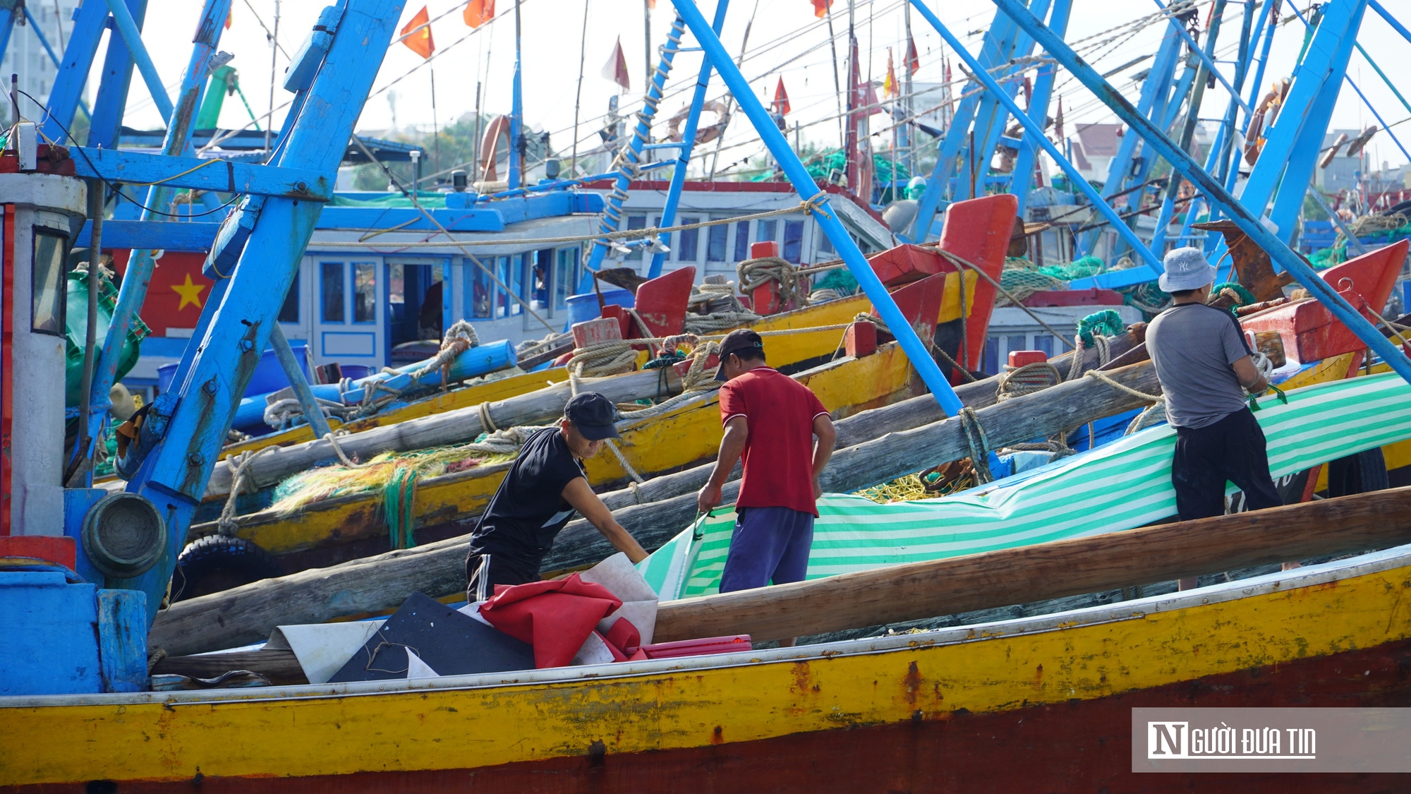 Thiếu lao động nghề biển, nỗi trăn trở của ngư d&acirc;n trước mỗi chuyến vươn khơi khi v&agrave;o vụ c&aacute; nam - Ảnh 6.