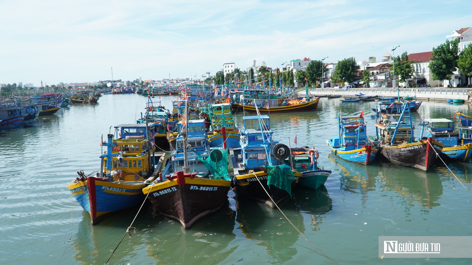 Thiếu lao động nghề biển, nỗi trăn trở của ngư d&acirc;n trước mỗi chuyến vươn khơi khi v&agrave;o vụ c&aacute; nam - Ảnh 7.
