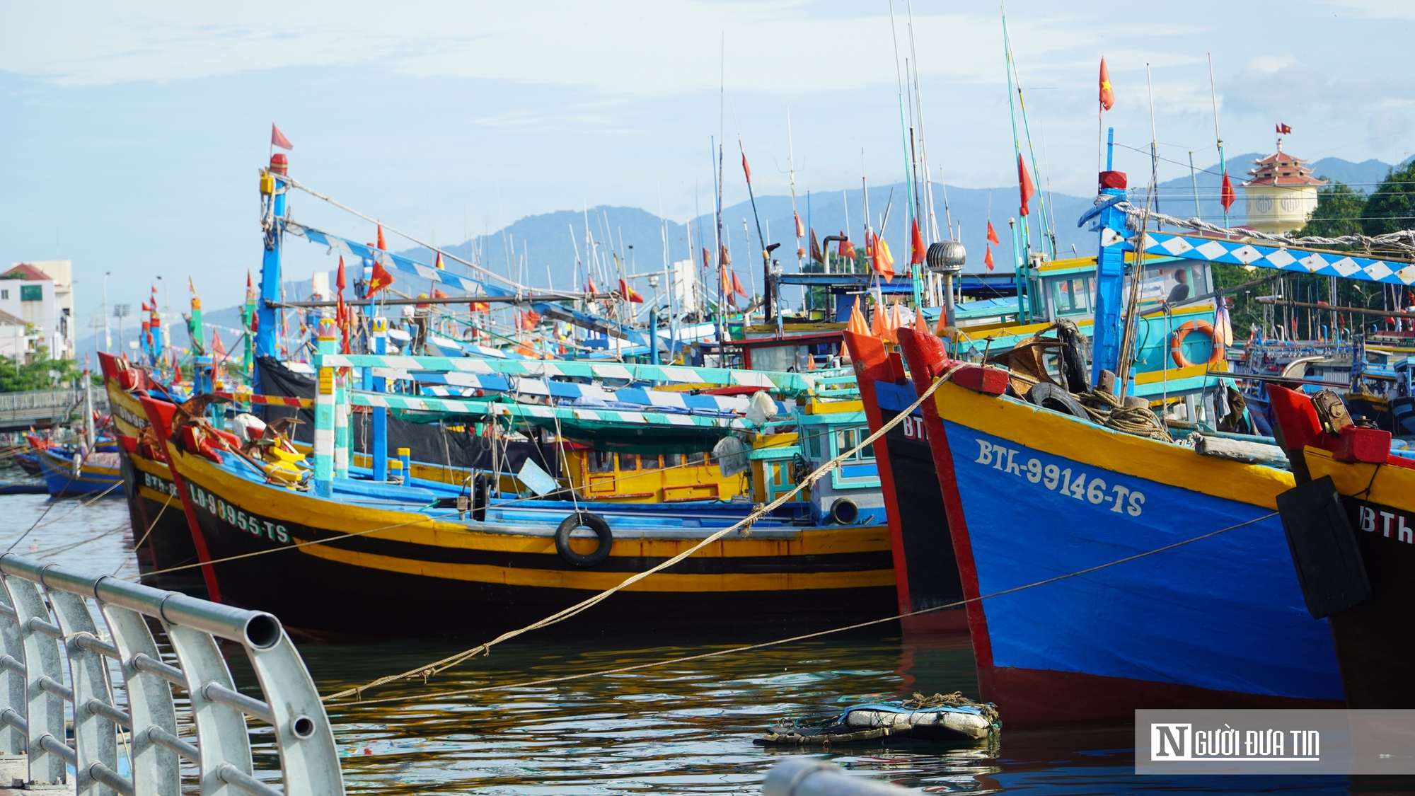 Thiếu lao động nghề biển, nỗi trăn trở của ngư d&acirc;n trước mỗi chuyến vươn khơi khi v&agrave;o vụ c&aacute; nam - Ảnh 8.