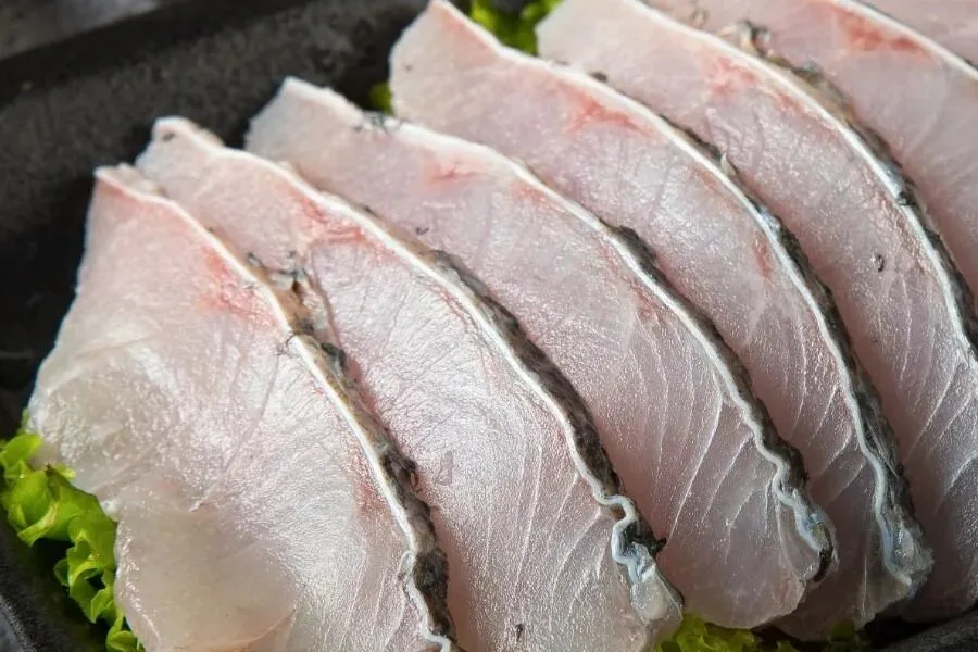 Loài cá giá trị với dinh dưỡng vượt trội, sống được cả ở nước ngọt và nước mặn - Ảnh 2.