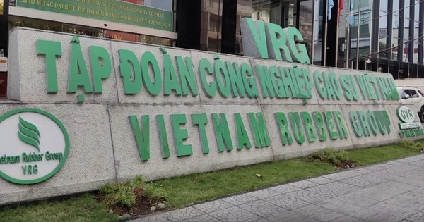 GVR chưa đạt chuẩn cổ đ&ocirc;ng, vẫn giữ tư c&aacute;ch c&ocirc;ng ty đại ch&uacute;ng - Ảnh 1.