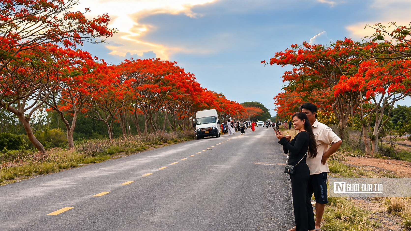 Hàng trăm cây phượng nở đỏ rực, biến tuyến đường quê thành điểm check-in hút khách - Ảnh 7.