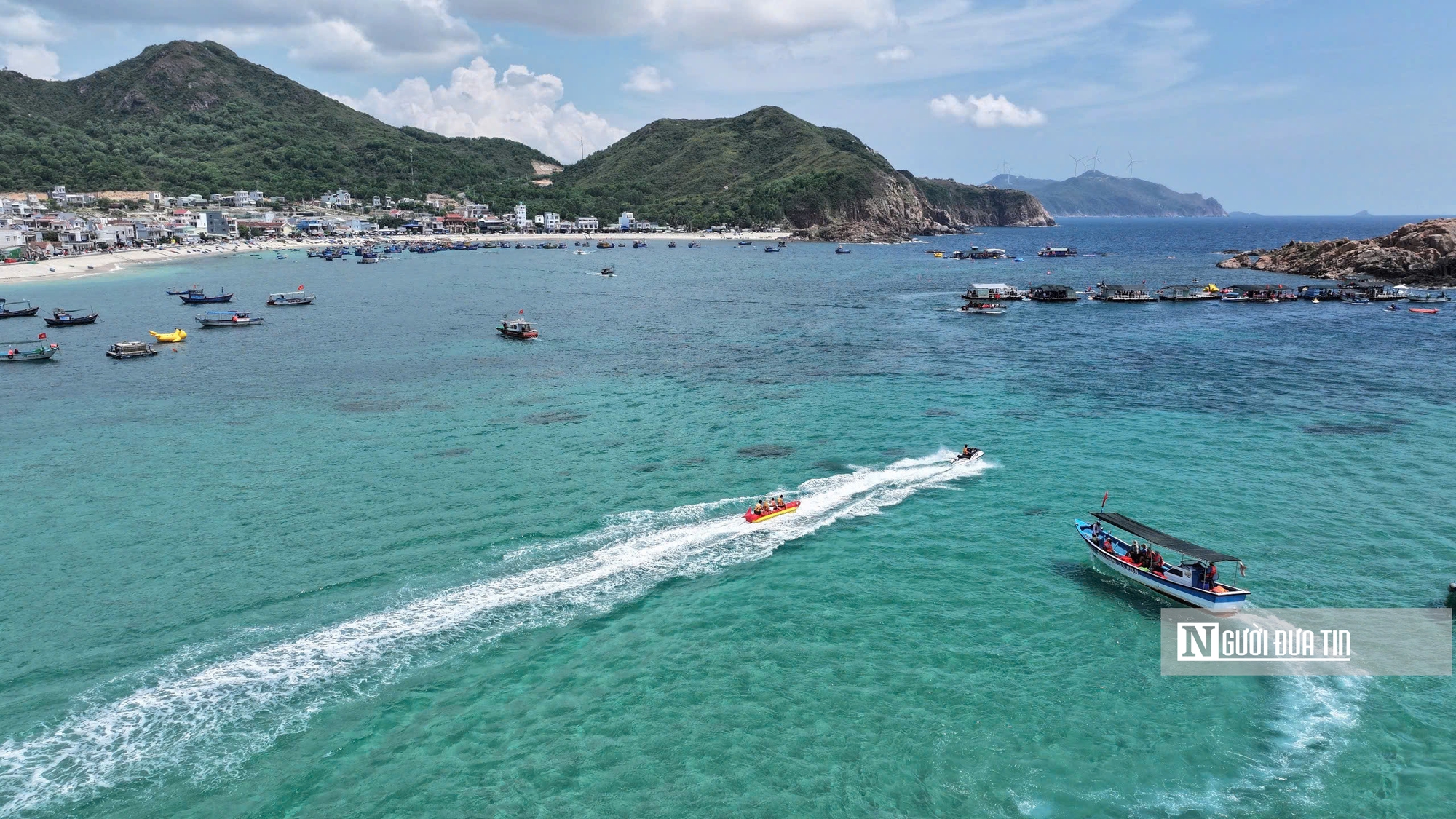 Về Nhơn Hải ngắm c&aacute;nh đồng rong mơ dưới đ&aacute;y biển- Ảnh 1.