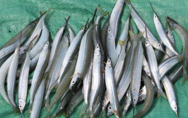Điều nhiều người làm mỗi ngày và nguy cơ 10 loại ung thư, không phải ai cũng biết - Ảnh 1.