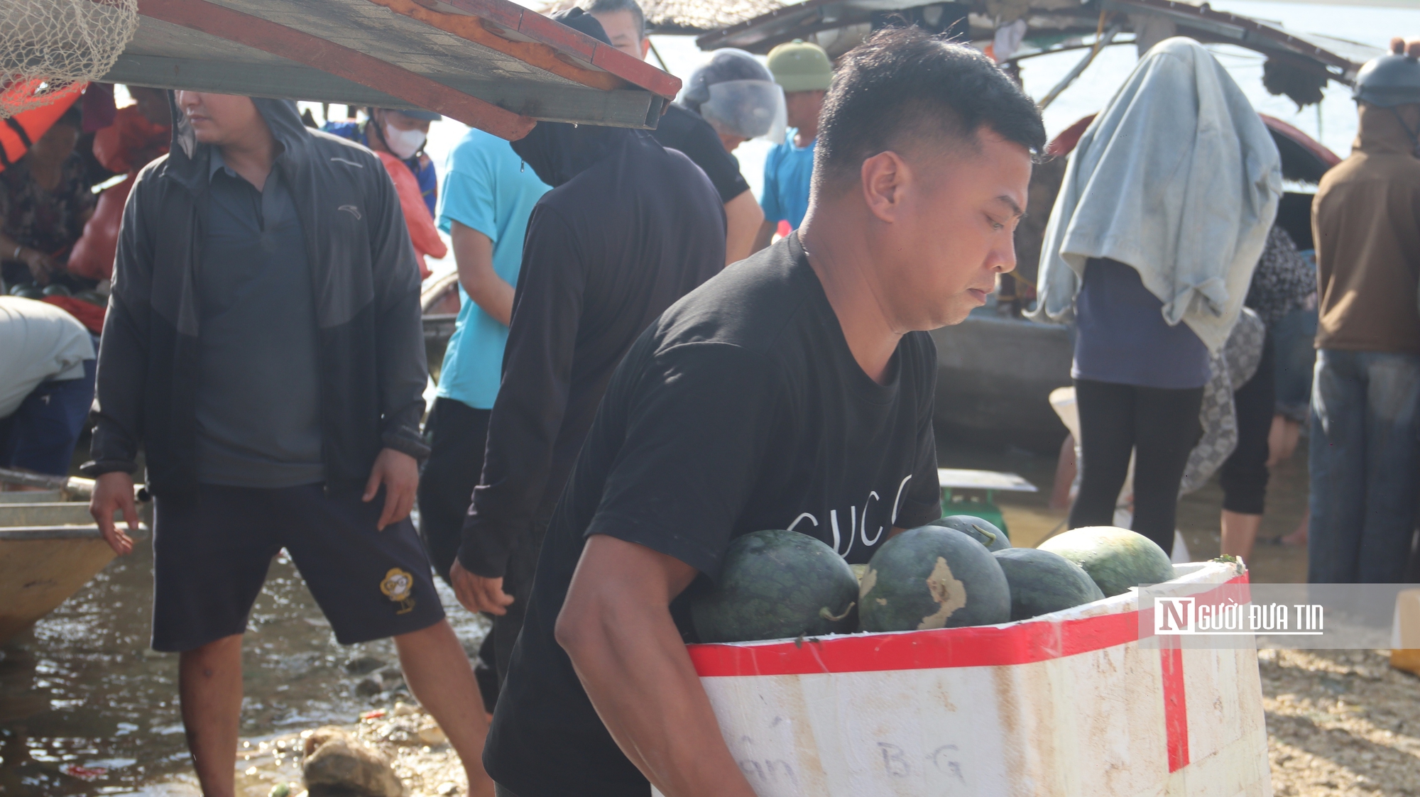 Dưa hấu Thác Bà được giá, thương lái tranh thủ thu mua từ rạng đông- Ảnh 1. Dưa hấu Thác Bà được giá, thương lái tranh thủ thu mua từ rạng đông- Ảnh 1.