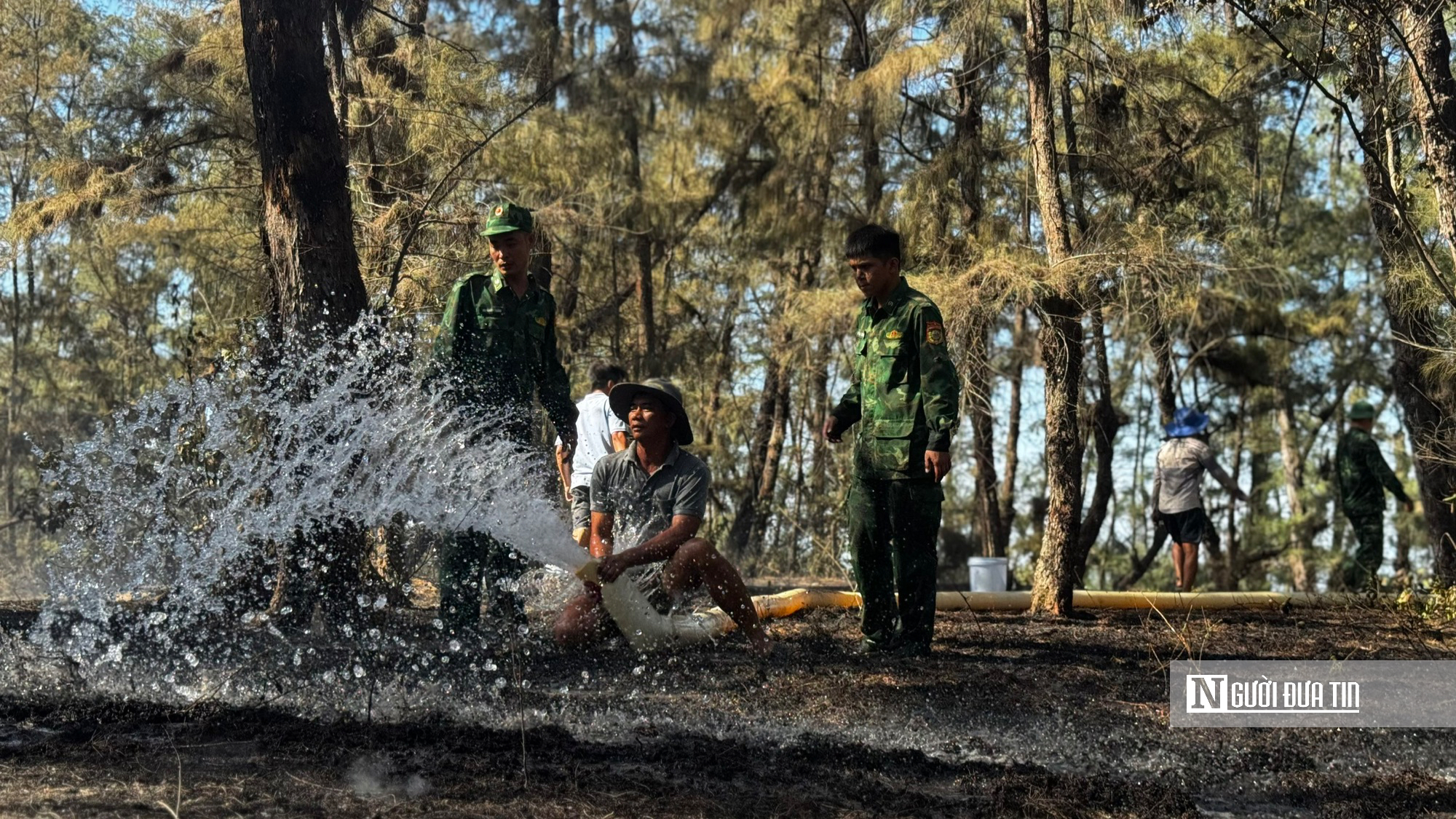 Lửa thi&ecirc;u rụi rừng ph&ograve;ng hộ ven biển Quảng Ng&atilde;i, h&agrave;ng trăm người căng m&igrave;nh dập ch&aacute;y- Ảnh 12.