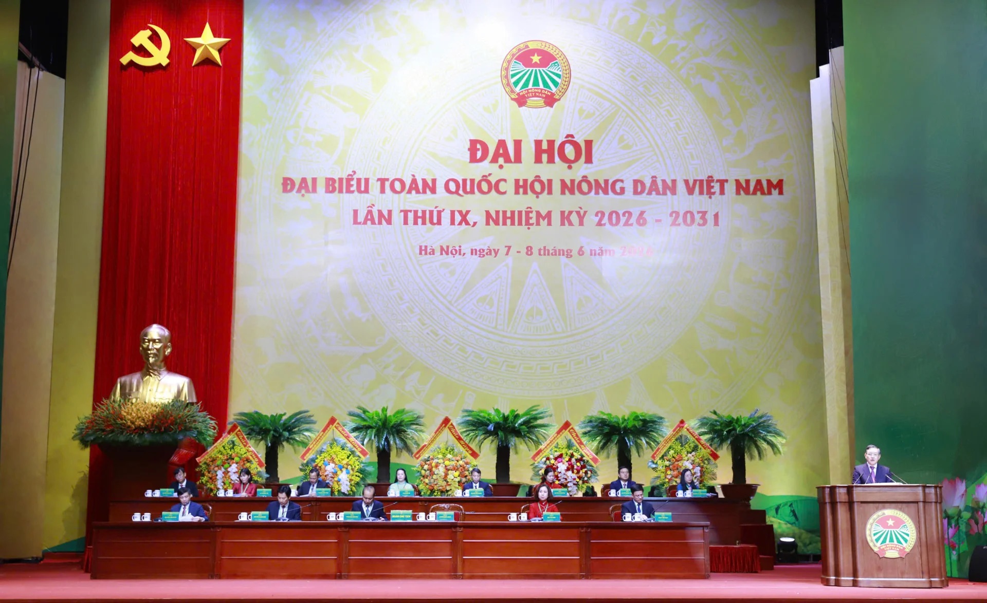Khai mạc trọng thể Đại hội đại biểu toàn quốc Hội Nông dân Việt Nam lần thứ IX - Ảnh 3.