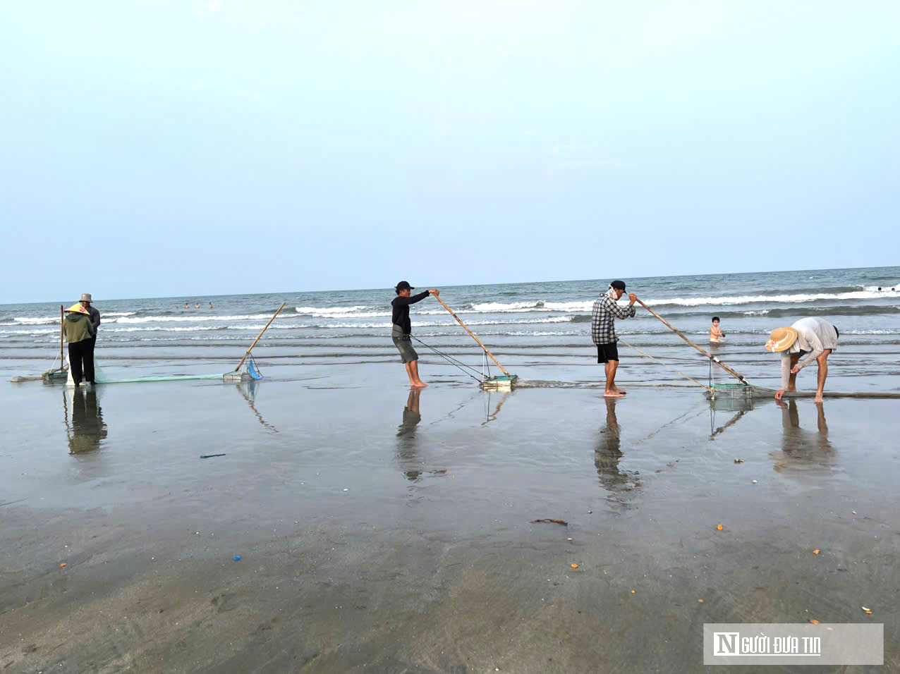 Ngư d&acirc;n chạy đua với thuỷ triều, c&agrave;o &ldquo;lộc trời&rdquo; kiếm tiền triệu mỗi ng&agrave;y- Ảnh 1.