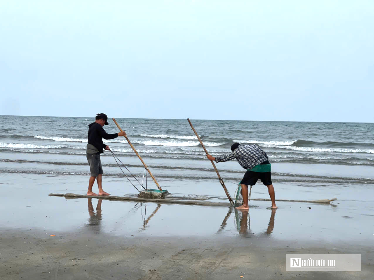 Ngư d&acirc;n chạy đua với thuỷ triều, c&agrave;o &ldquo;lộc trời&rdquo; kiếm tiền triệu mỗi ng&agrave;y- Ảnh 2.