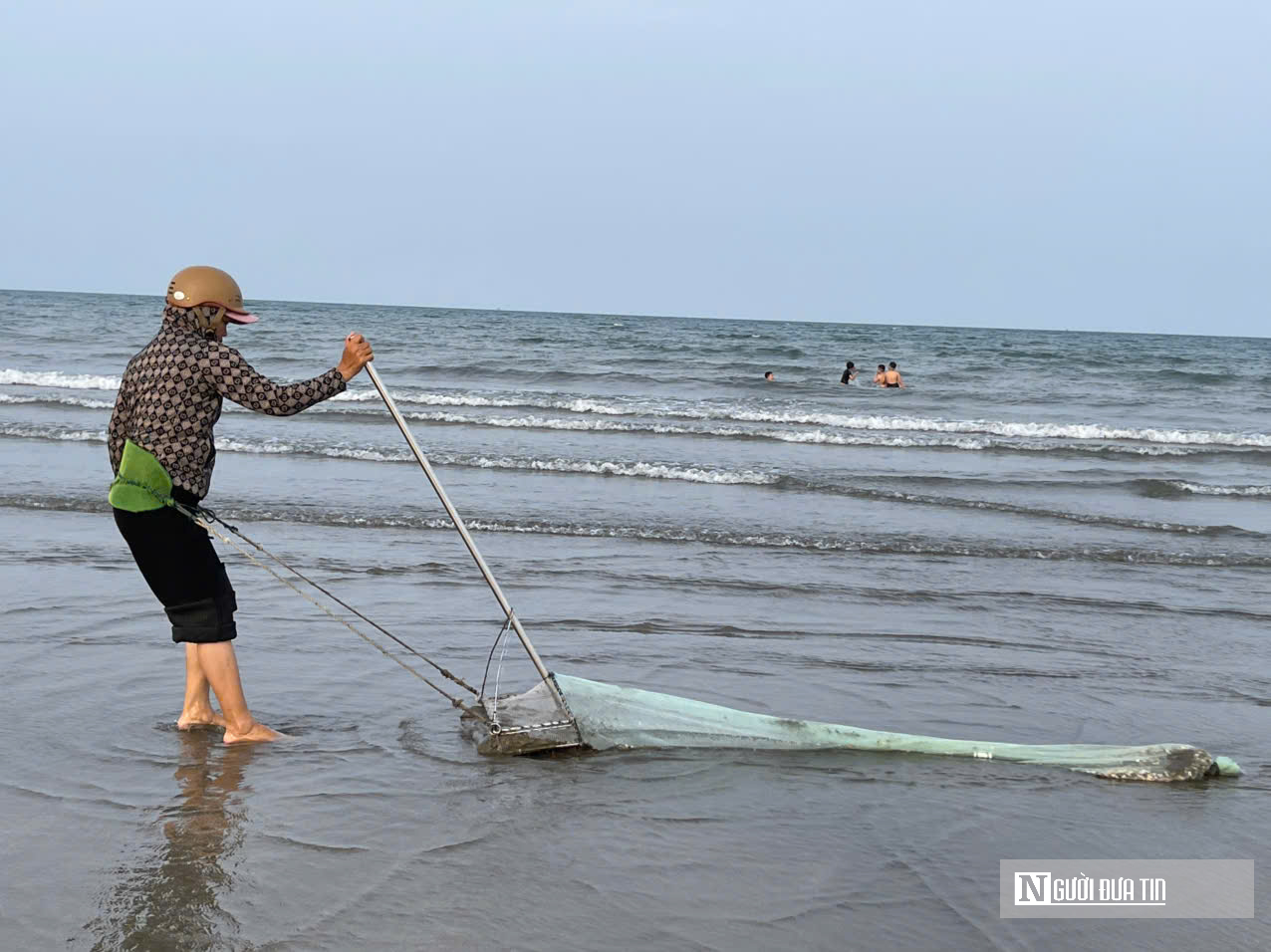 Ngư d&acirc;n chạy đua với thuỷ triều, c&agrave;o &ldquo;lộc trời&rdquo; kiếm tiền triệu mỗi ng&agrave;y- Ảnh 3.