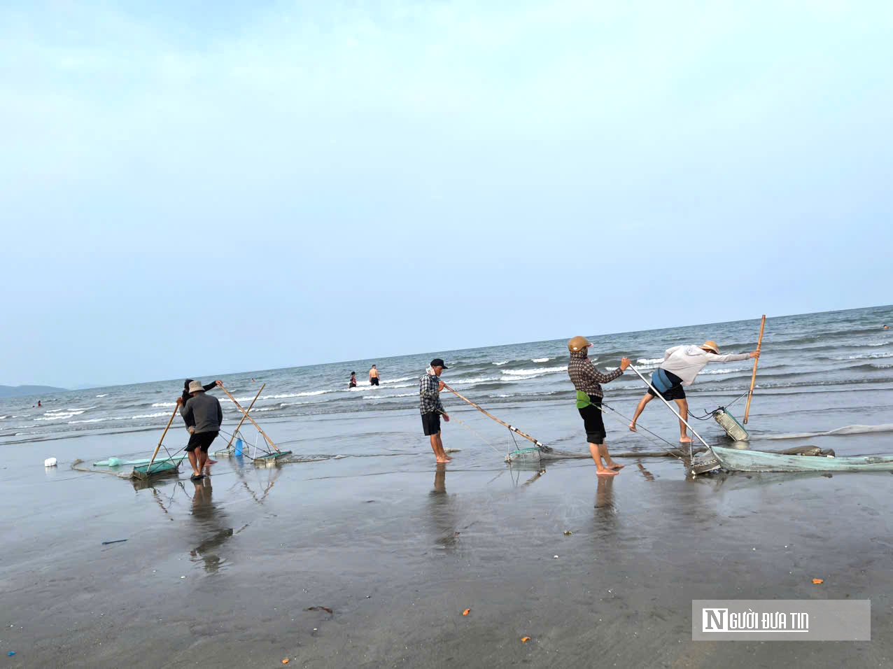 Ngư d&acirc;n chạy đua với thuỷ triều, c&agrave;o &ldquo;lộc trời&rdquo; kiếm tiền triệu mỗi ng&agrave;y- Ảnh 9.