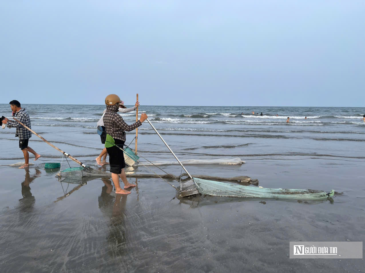 Ngư d&acirc;n chạy đua với thuỷ triều, c&agrave;o &ldquo;lộc trời&rdquo; kiếm tiền triệu mỗi ng&agrave;y- Ảnh 7.