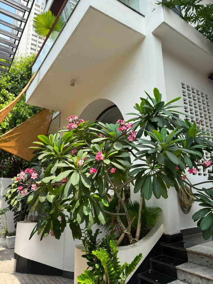Thành quả đặc biệt của nữ diễn viên Vân Trang bên trong biệt thự rộng lớn - Ảnh 2.