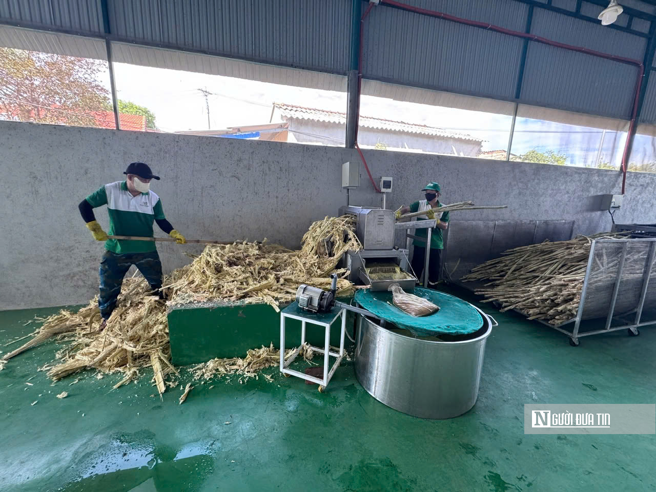 "Hồi sinh" nghề mật mía Quảng Ngãi, đưa đặc sản quê vươn ra thế giới- Ảnh 3.