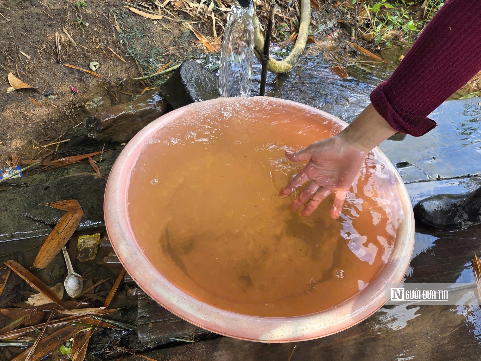 M&ograve;n mỏi g&ugrave;i nước giữa v&ugrave;ng cao Quảng Ng&atilde;i- Ảnh 3.