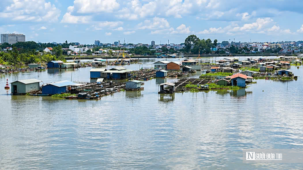 Đồng Nai “khai tử” hàng nghìn lồng bè giữa lòng đô thị: Cuộc giải tỏa lớn để cứu dòng sông và mở không gian phát triển - Ảnh 4.
