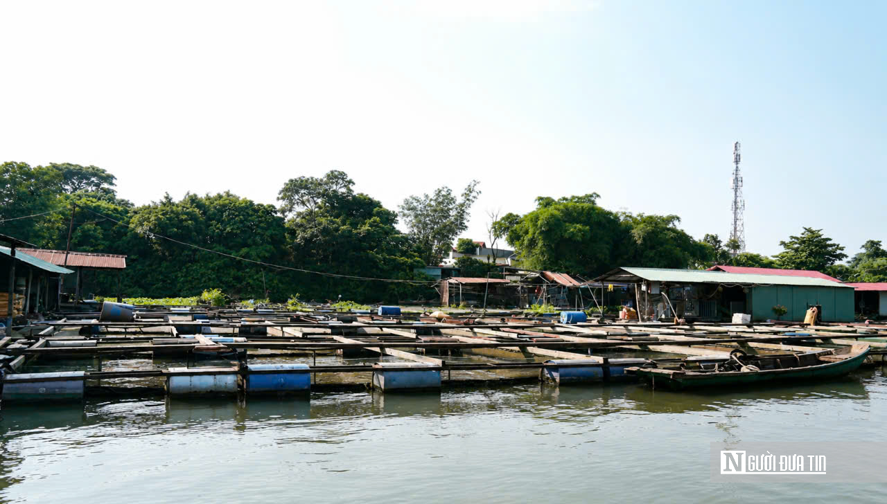 Đồng Nai “khai tử” hàng nghìn lồng bè giữa lòng đô thị: Cuộc giải tỏa lớn để cứu dòng sông và mở không gian phát triển - Ảnh 6.