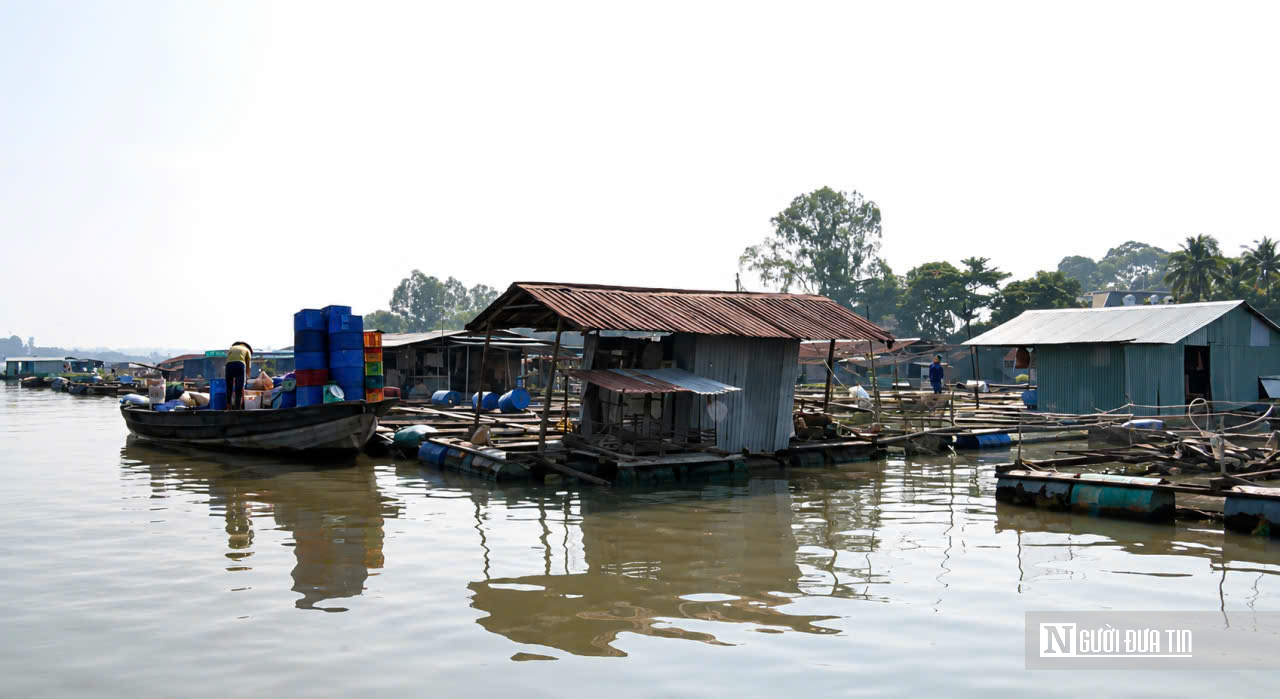 Đồng Nai “khai tử” hàng nghìn lồng bè giữa lòng đô thị: Cuộc giải tỏa lớn để cứu dòng sông và mở không gian phát triển - Ảnh 7.
