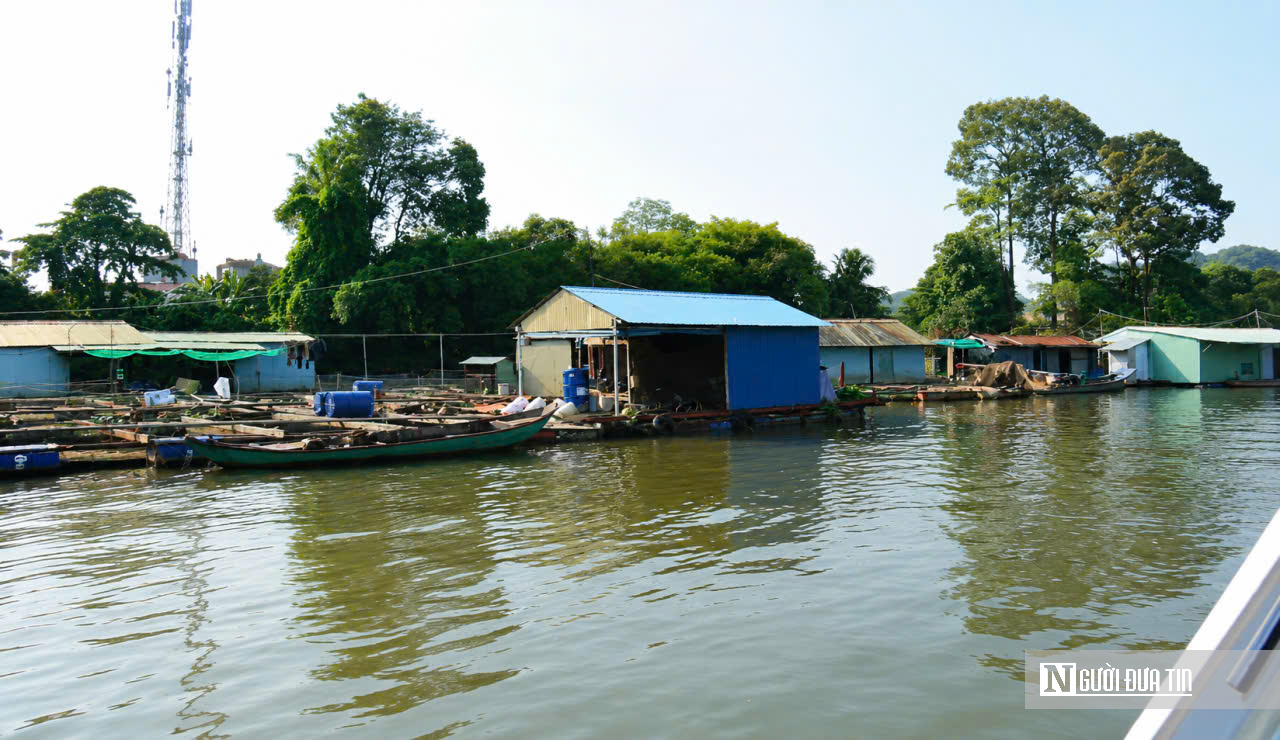 Đồng Nai “khai tử” hàng nghìn lồng bè giữa lòng đô thị: Cuộc giải tỏa lớn để cứu dòng sông và mở không gian phát triển - Ảnh 8.