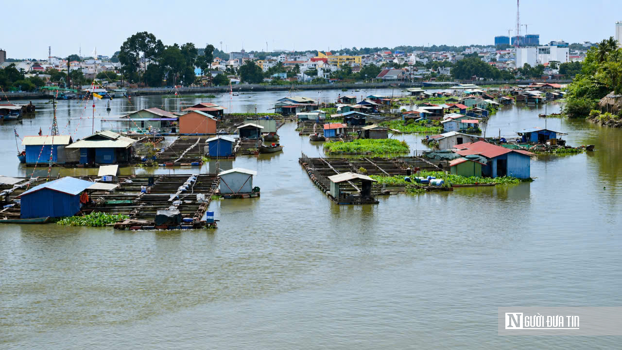 Đồng Nai “khai tử” hàng nghìn lồng bè giữa lòng đô thị: Cuộc giải tỏa lớn để cứu dòng sông và mở không gian phát triển - Ảnh 9.