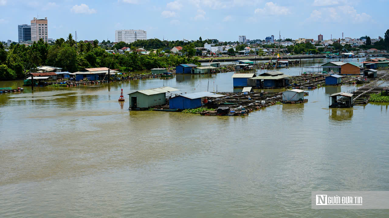 Đồng Nai “khai tử” hàng nghìn lồng bè giữa lòng đô thị: Cuộc giải tỏa lớn để cứu dòng sông và mở không gian phát triển - Ảnh 12.