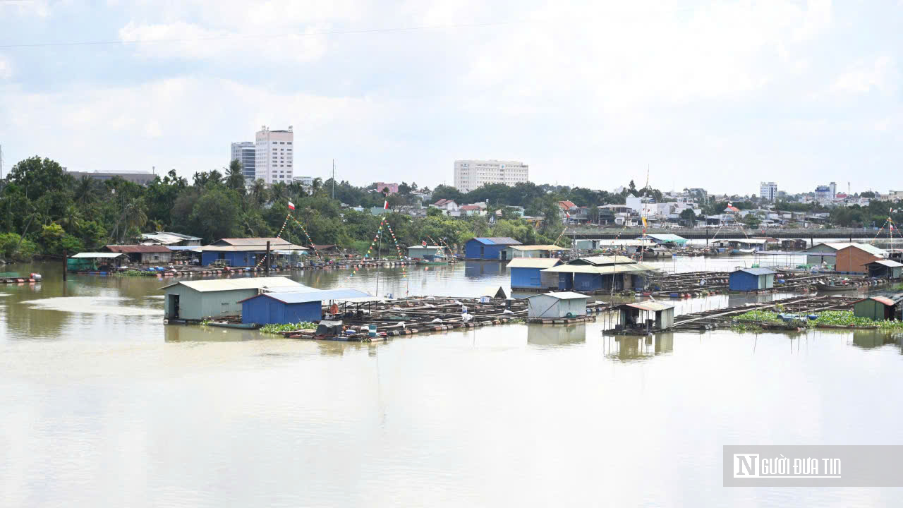 Đồng Nai “khai tử” hàng nghìn lồng bè giữa lòng đô thị: Cuộc giải tỏa lớn để cứu dòng sông và mở không gian phát triển - Ảnh 13.