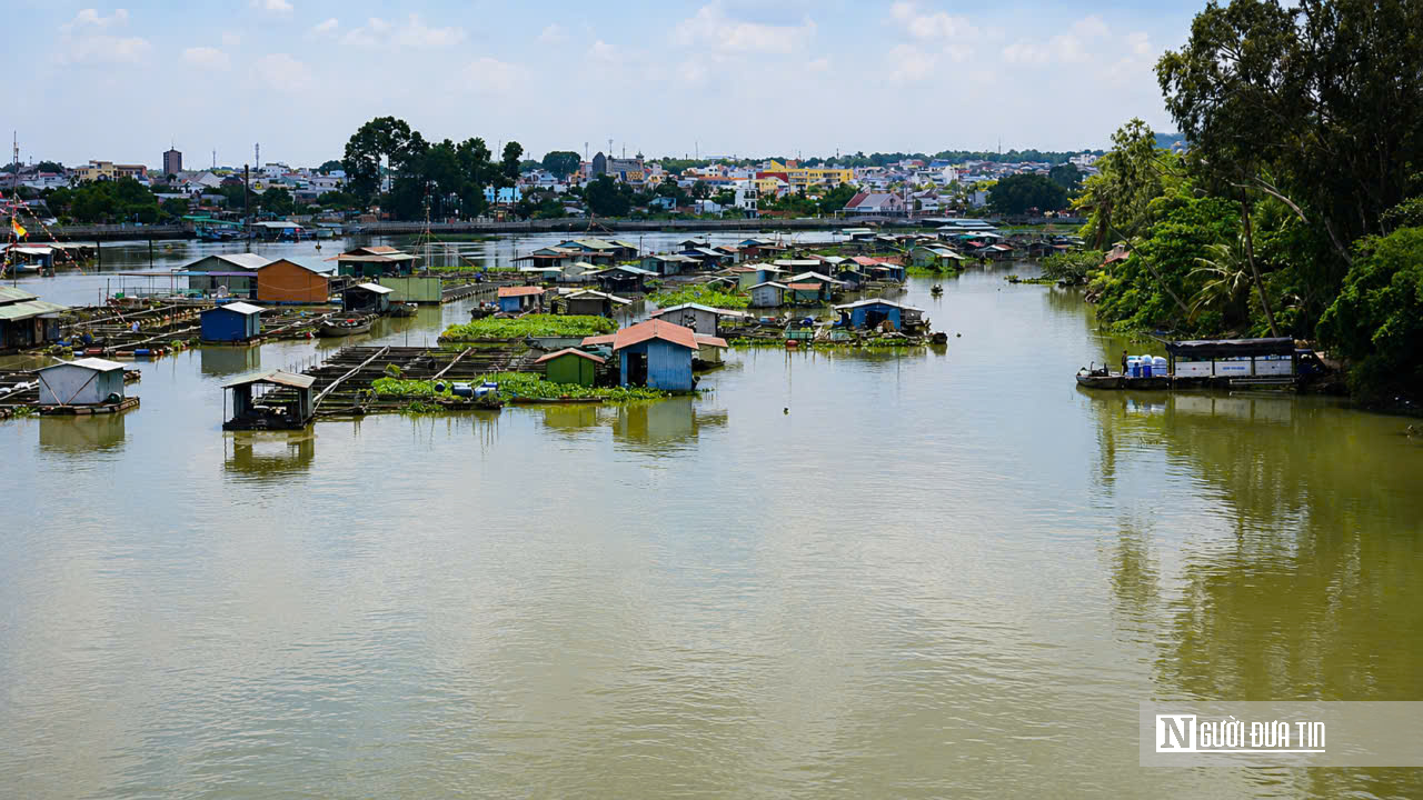Đồng Nai “khai tử” hàng nghìn lồng bè giữa lòng đô thị: Cuộc giải tỏa lớn để cứu dòng sông và mở không gian phát triển - Ảnh 14.