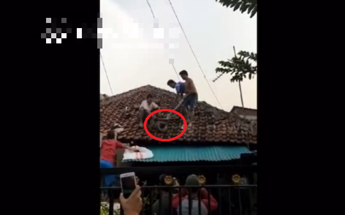 Nghe tiếng động lạ, chủ nhà mở cửa phát hiện cảnh tượng "nổi da gà" giữa đêm - Ảnh 2.