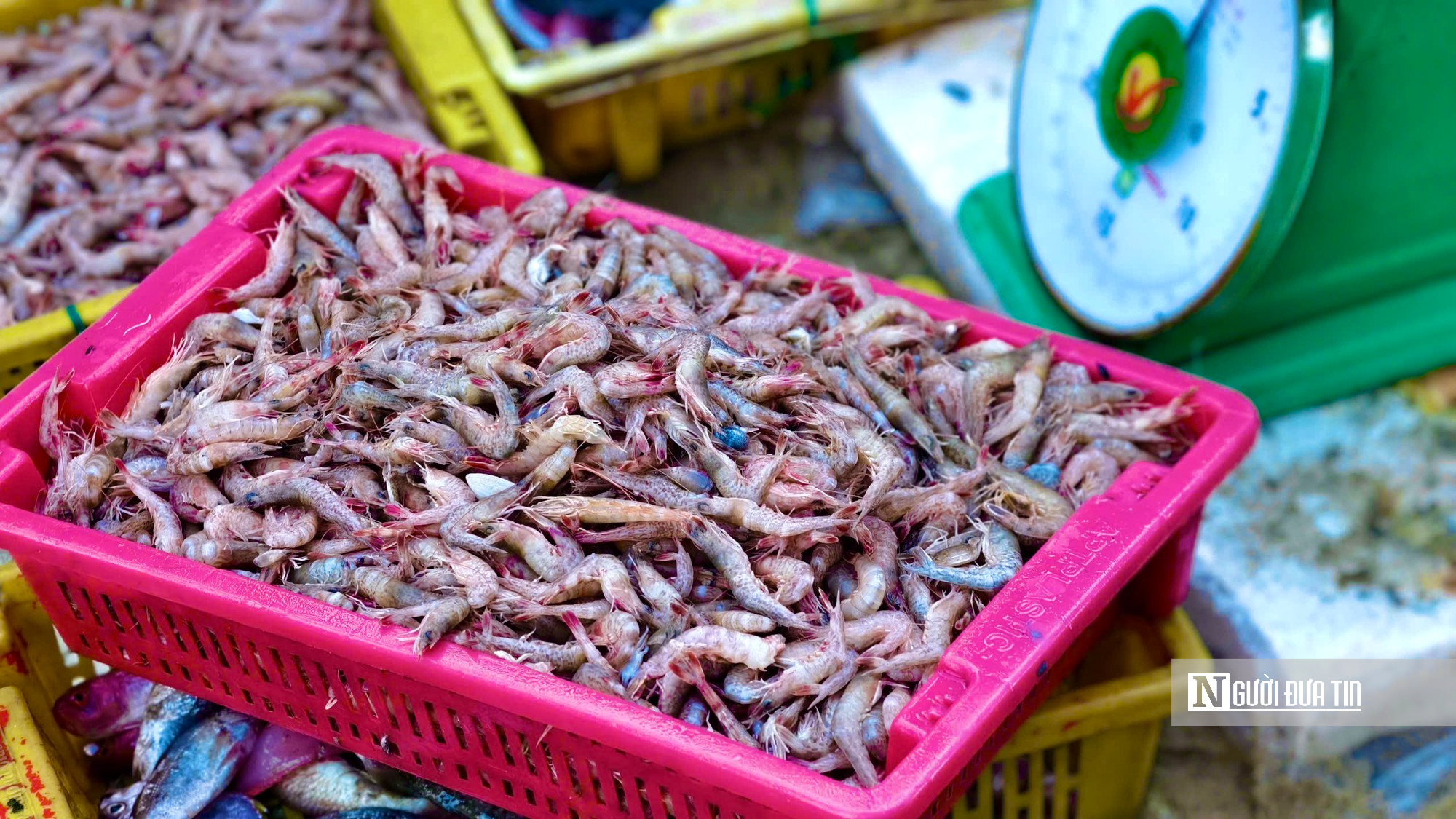 Ngắm chợ nổi độc nhất ở Quảng Ngãi nhộn nhịp từ 4 giờ sáng - Ảnh 15.