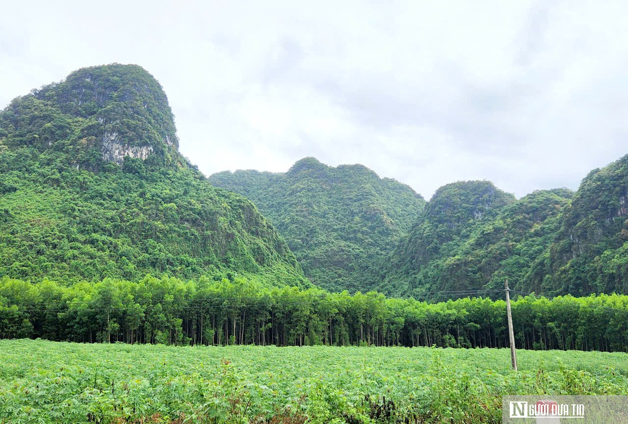 Bí quyết nuôi ong mật ở vùng đệm VQG Phong Nha – Kẻ Bàng cho thu nhập hàng tỷ đồng mỗi năm- Ảnh 1.