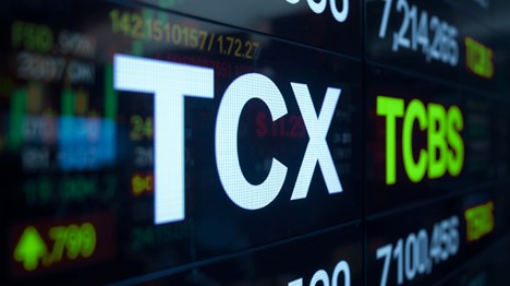 TCBS đóng 3.980 tỷ đồng tiền thuế năm 2024 - 2025 - Ảnh 1.