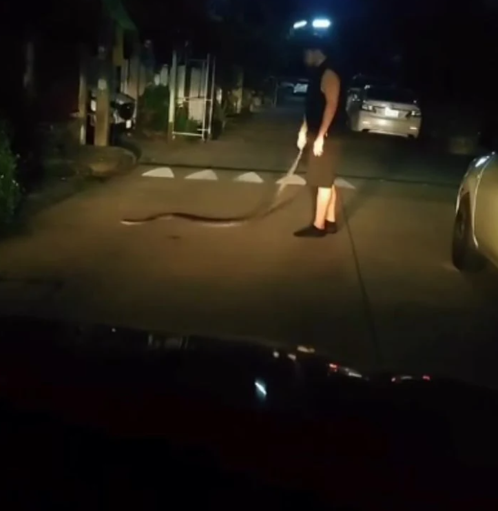 Say rượu, người đàn ông dùng tay không bắt con trăn về nhà - Ảnh 2.