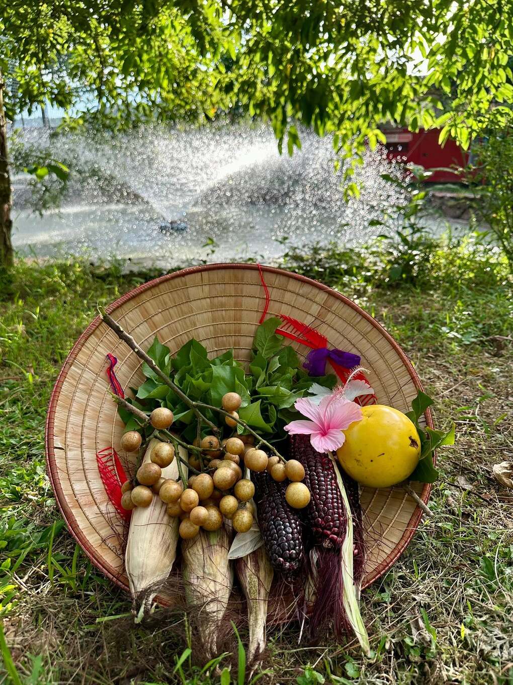 Ca sĩ Trọng Tấn khoe thành quả đặc biệt sau những ngày 