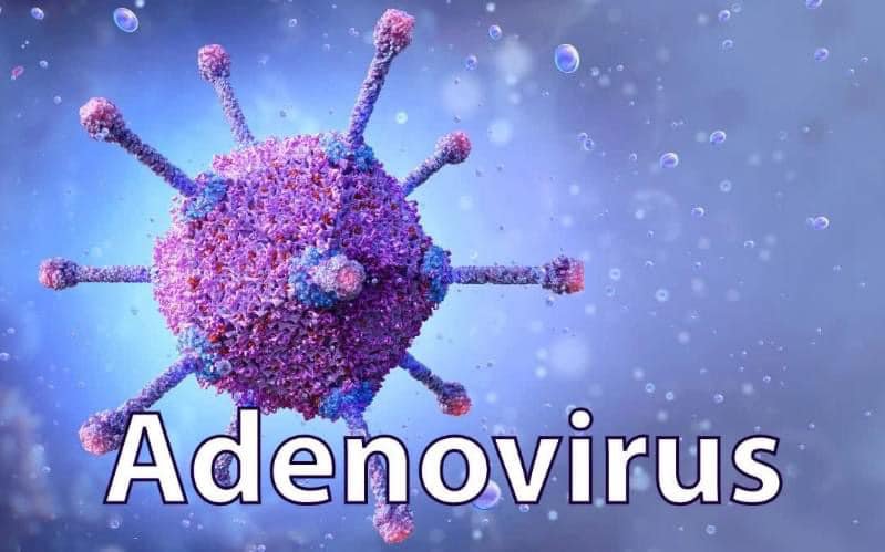 Adenovirus tăng gấp 3 lần, cha mẹ cần quan tâm đến các dấu hiệu cảnh báo nặng - Ảnh 1.