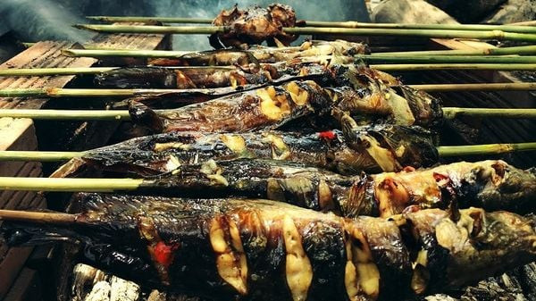 Loại cá có vẻ ngoài giản dị là cả một thế giới món ngon, rất giàu omega-3 và protein - Ảnh 4.