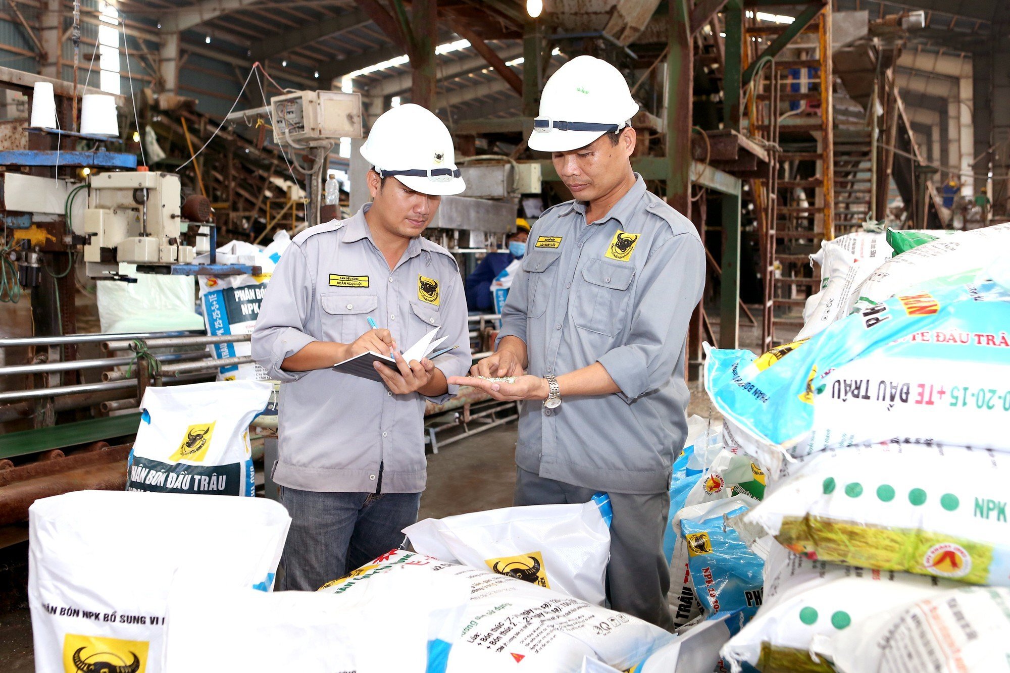 Phân bón Bình Điền chi hơn 200 tỷ đồng trả cổ tức tiền mặt 2025- Ảnh 1.